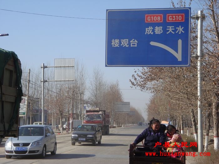 DSC04986.jpg