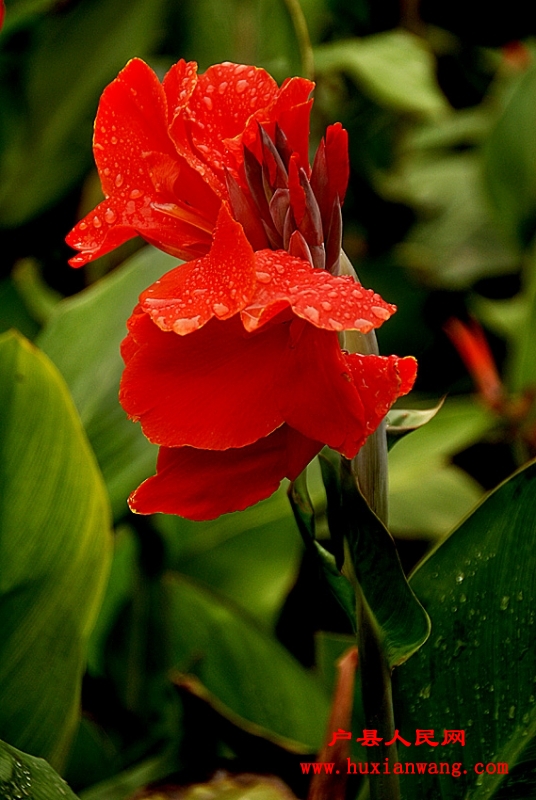 ˽.jpg