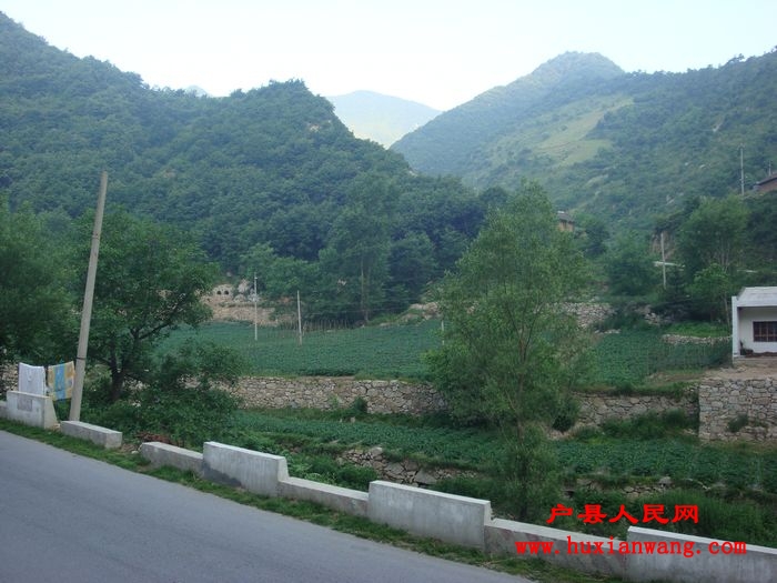 DSC03535.jpg