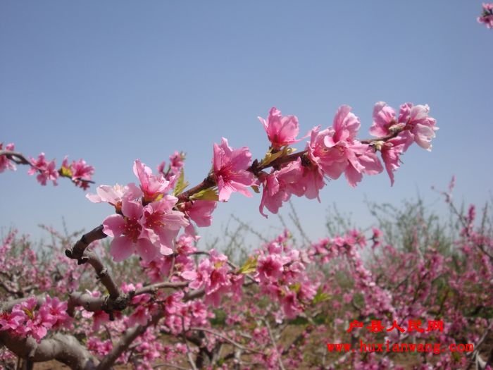 DSC05452.jpg