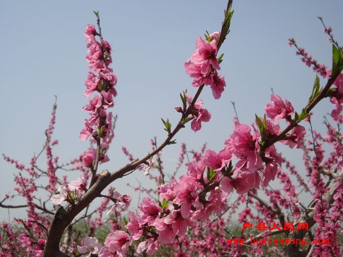 DSC05455.jpg
