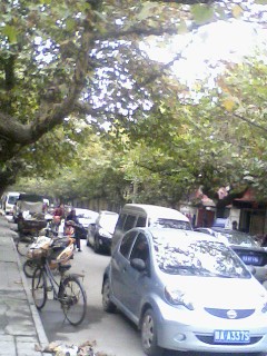 IMG10261448aa.jpg