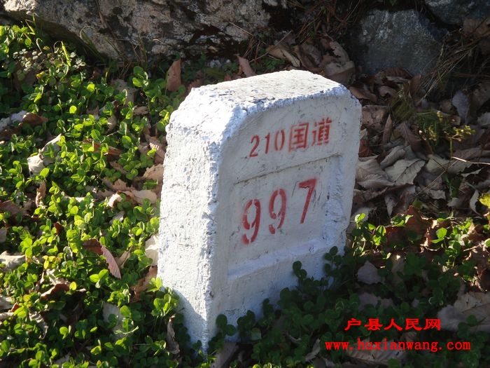 DSC06714.jpg