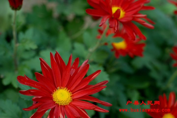 nEO_IMG_DSC_3331.jpg
