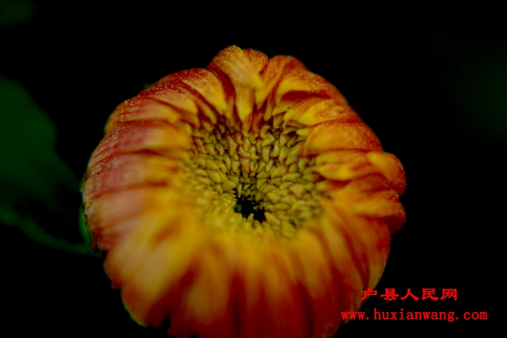 nEO_IMG_DSC_3346.jpg