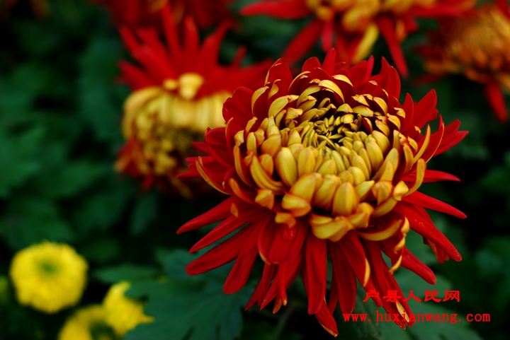 nEO_IMG_DSC_3359.jpg