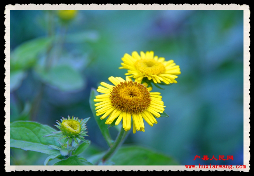 dsc00109.jpg