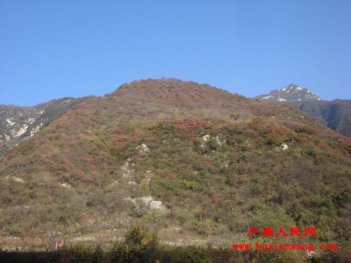 DSC06727.jpg