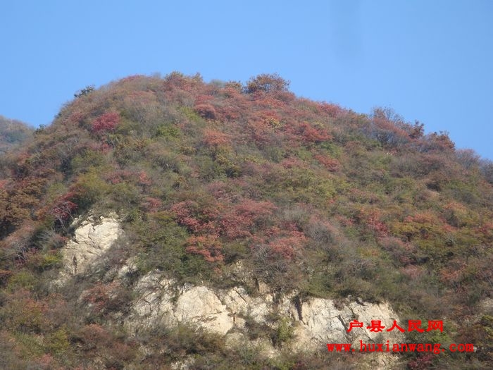 DSC06730.jpg