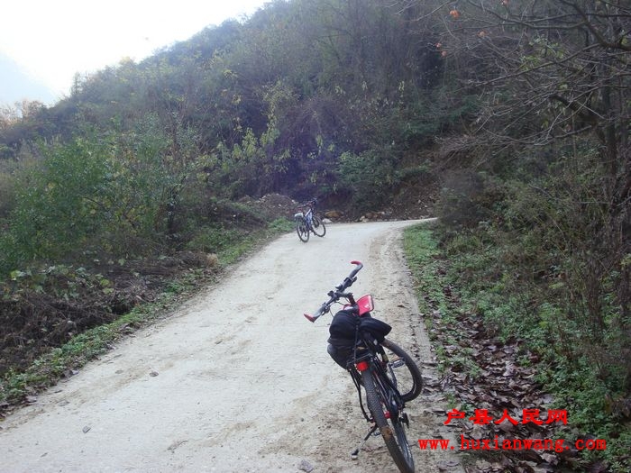 DSC06735.jpg