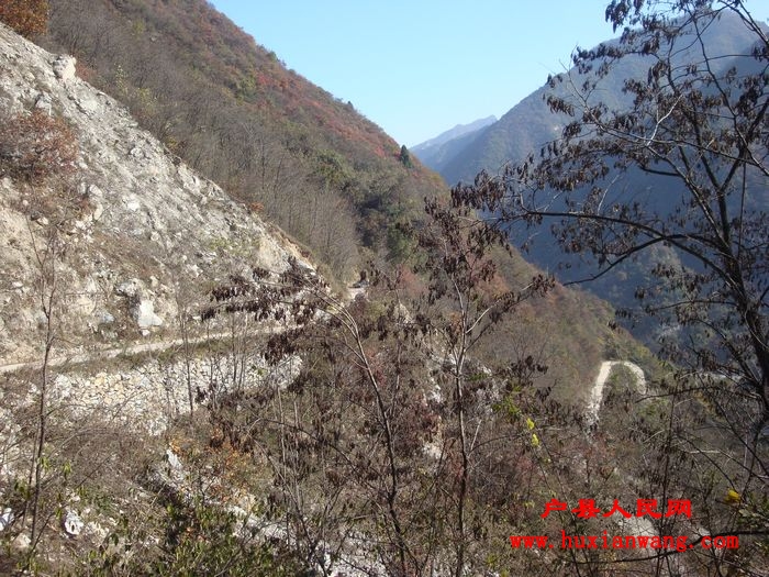 DSC06747.jpg