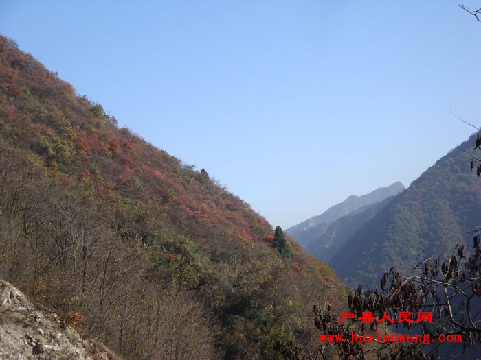 DSC06748.jpg