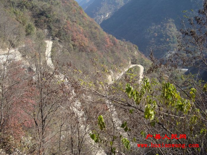 DSC06750.jpg