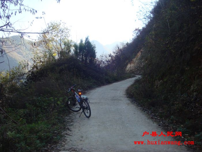 DSC06755.jpg