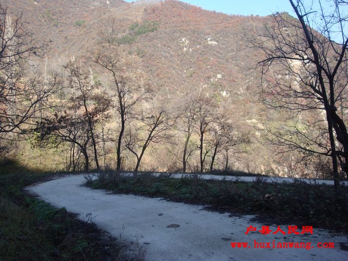 DSC06764.jpg
