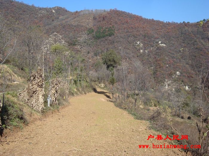DSC06770.jpg