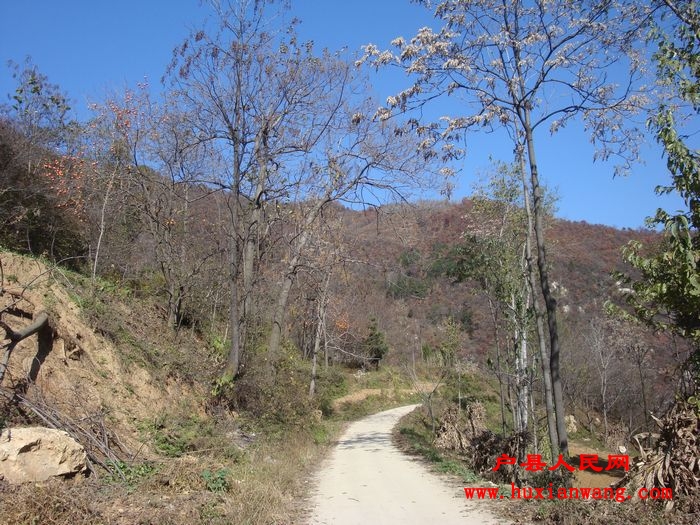 DSC06771.jpg