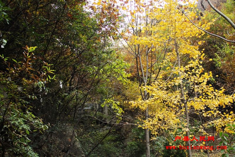 Ƭ 073.jpg