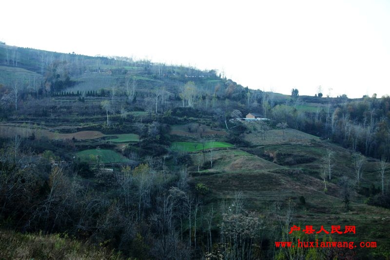 Ƭ 193.jpg