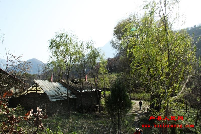 Ƭ 099.jpg