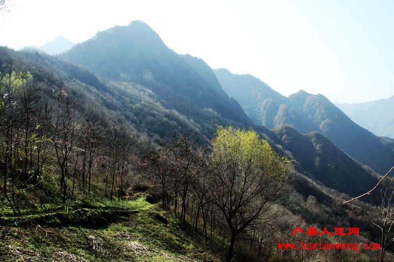 Ƭ 091.jpg