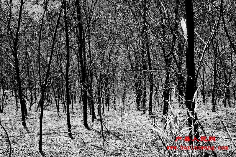 Ƭ 047.jpg