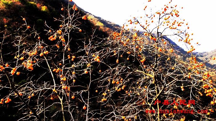 DSC06325.jpg