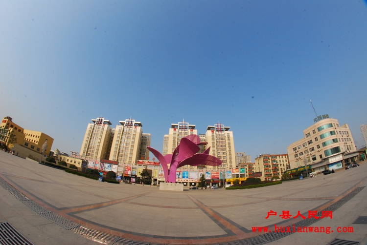 nEO_IMG_DSC_4446.jpg