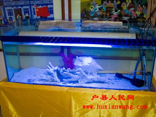 DSCF0088.jpg
