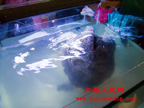 DSCF0095.jpg