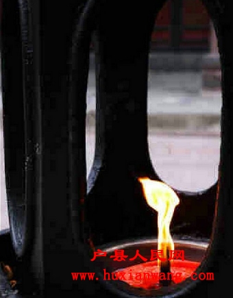 749_384405.jpg