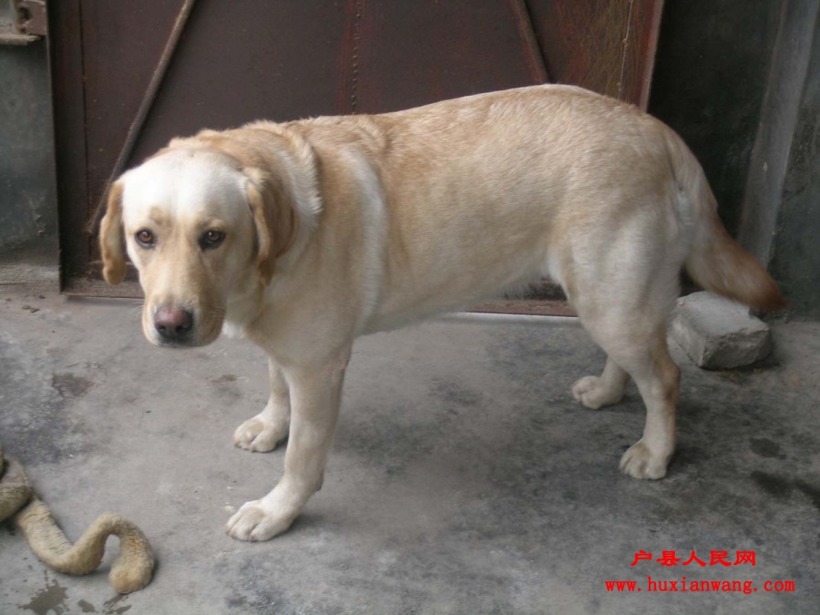 DSCN2358.JPG