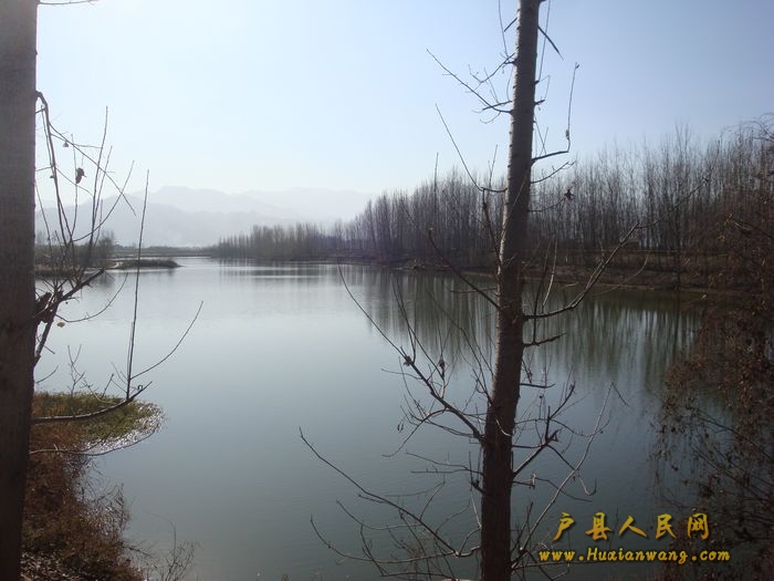 DSC06836.jpg