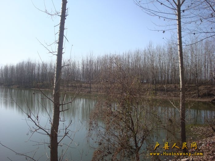 DSC06837.jpg
