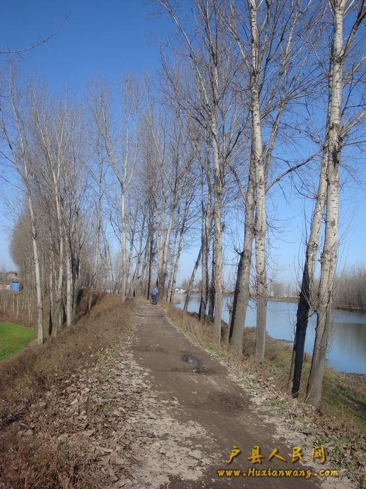 DSC06845.jpg