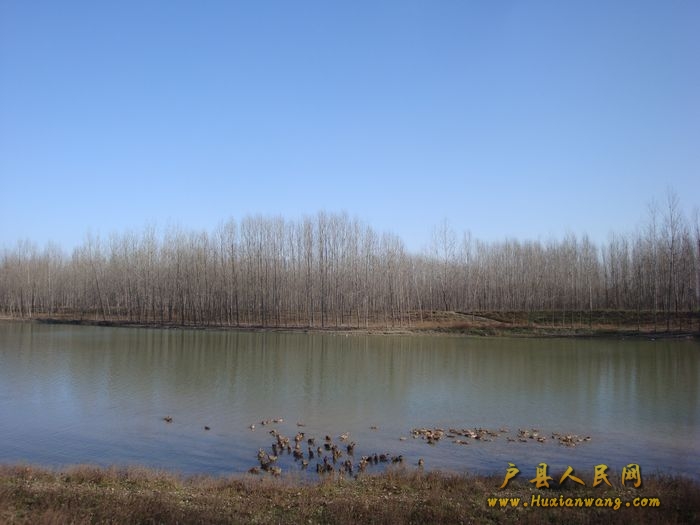 DSC06849.jpg