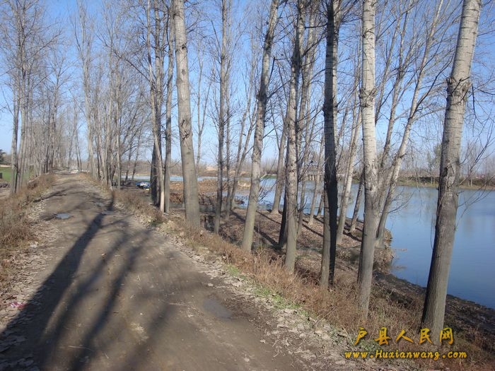 DSC06855.jpg