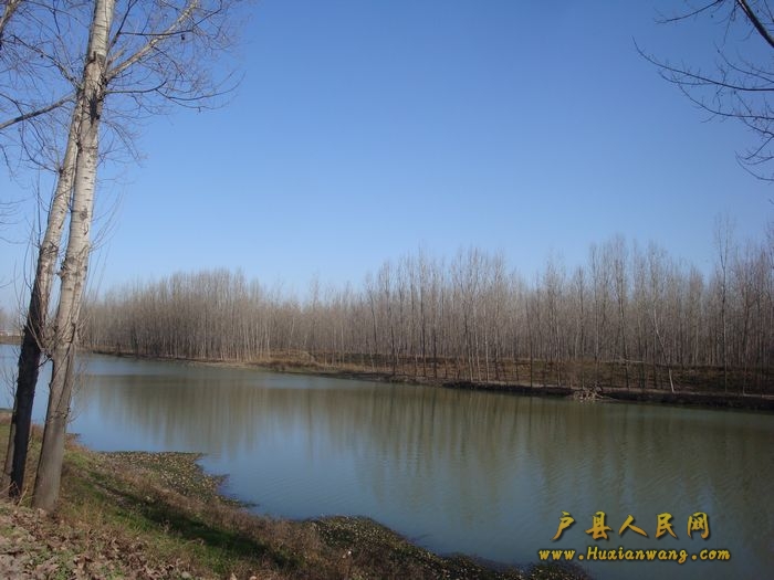 DSC06846.jpg