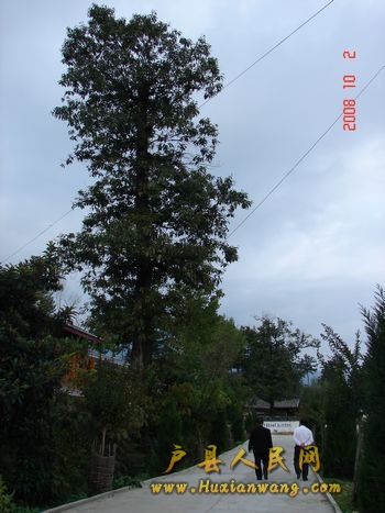 30-ػ.JPG