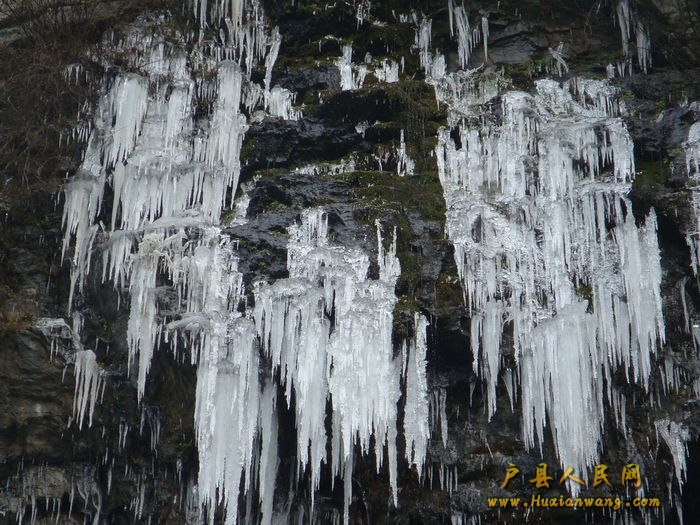 DSC06914.jpg