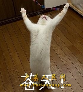 δ.jpg