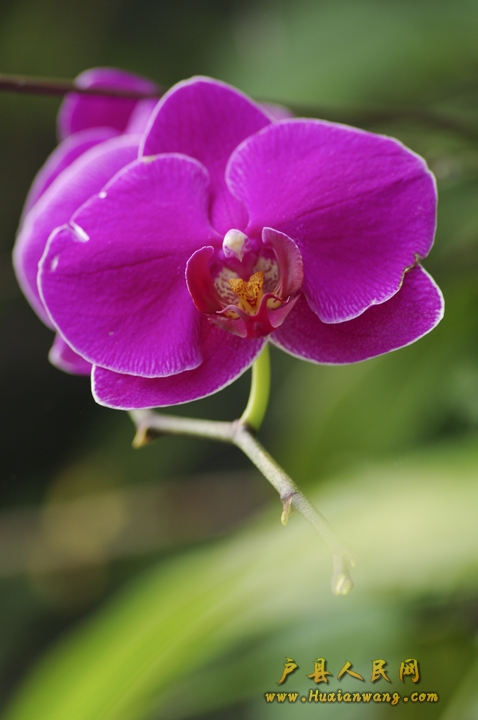IMGP9943.jpg