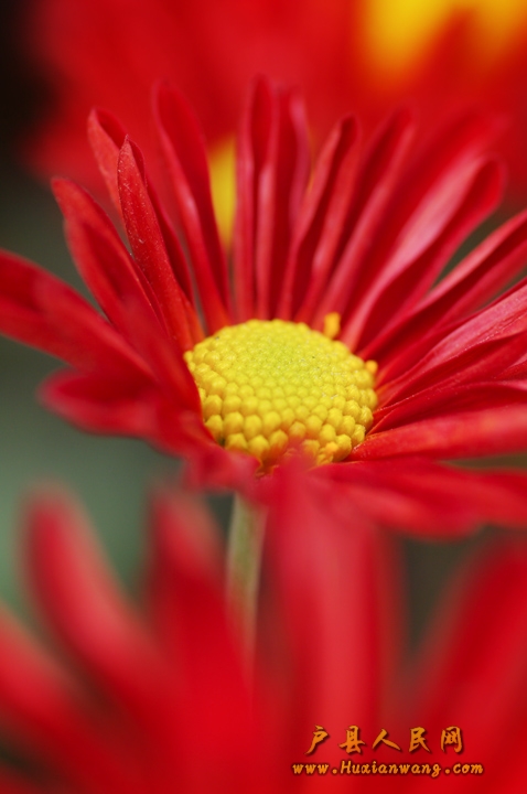 IMGP9807.jpg