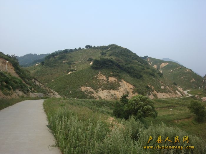 DSC06338.jpg