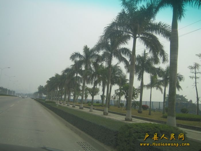 麣