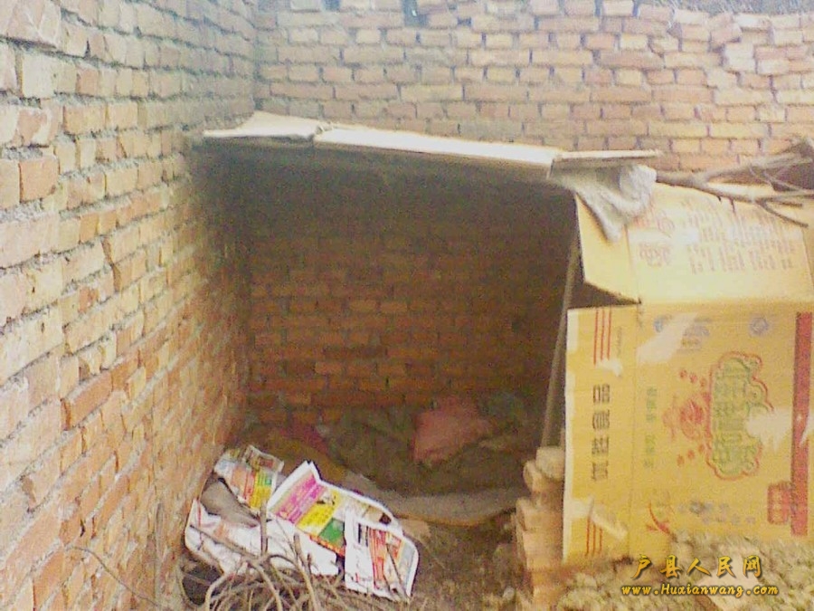 201201071729131.jpg