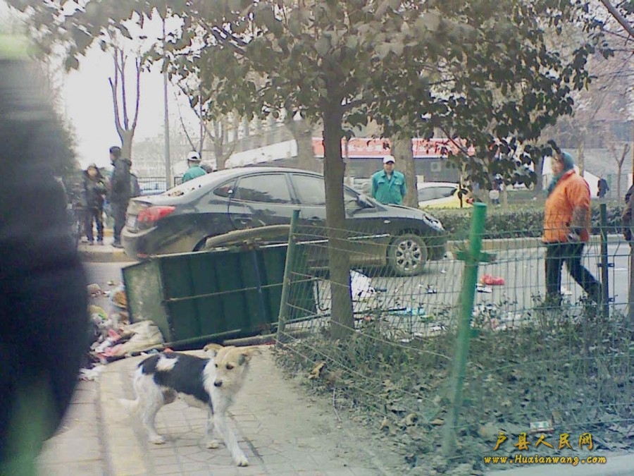 201201070937001.jpg
