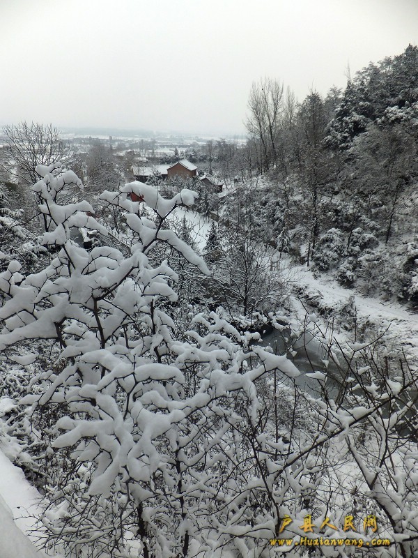 DSCF2800.JPG