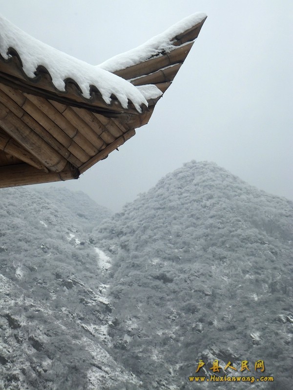 DSCF2811.JPG