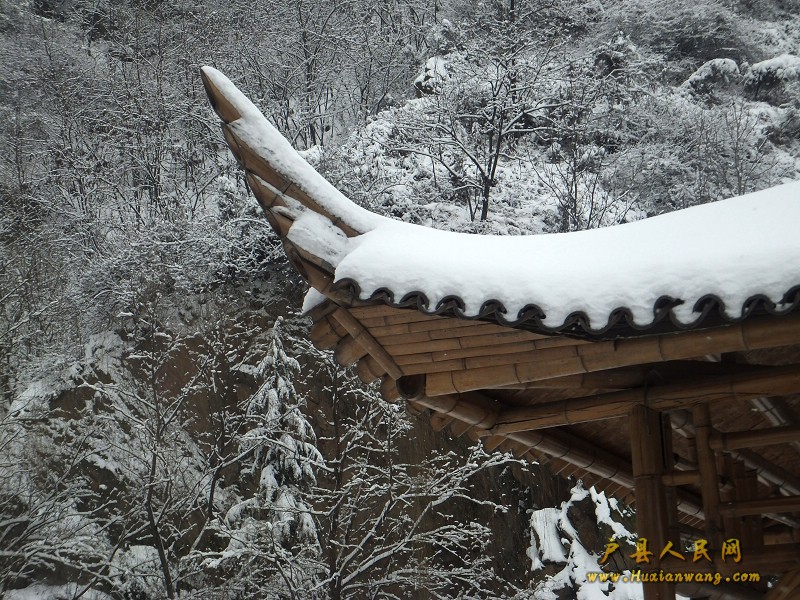 DSCF2812.JPG